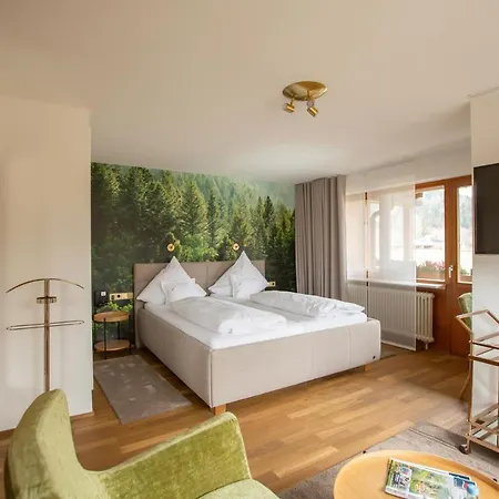 Sonne Garni 3* Hinterzarten